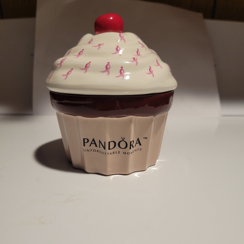 Stunning PANDORA Jewlery Box